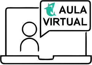 AULA VIRTUAL EAFEV